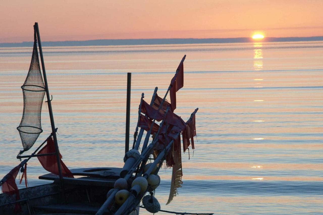 Fewo Seeblick - Familien - Hunde - Strandnah - Ostseeblick - Sauna & Wellness Sierksdorf Kültér fotó