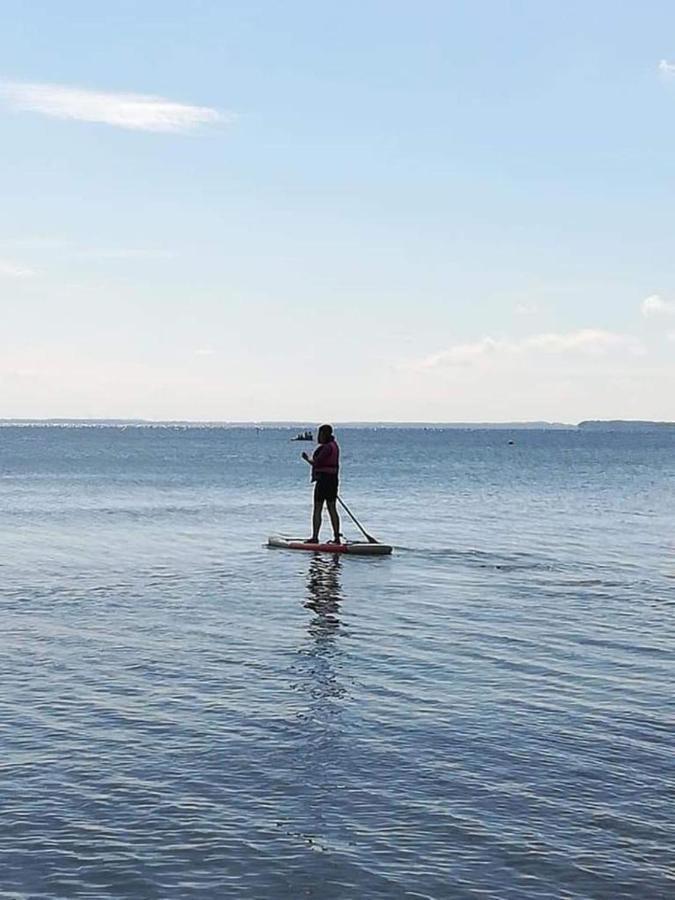 Fewo Seeblick - Familien - Hunde - Strandnah - Ostseeblick - Sauna & Wellness Sierksdorf Kültér fotó